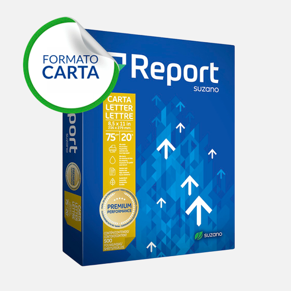 Papel REPORT carta 75 grs.x500 hjs.